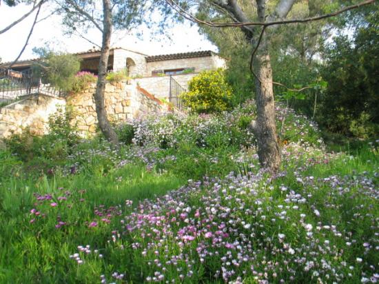 Le jardin de la villa Martinache en Avril