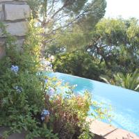 Le plumbago